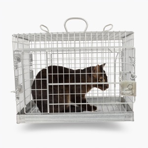 Wildlife Trapping
